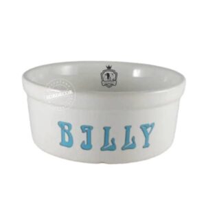 Comedouro Pet de Ceramica Personalizado com Nome 500 ml